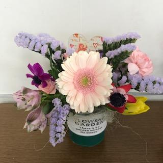 image1.jpeg