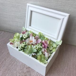 image1.jpeg