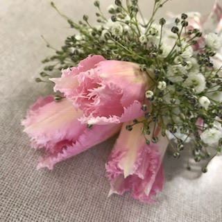 image1.jpeg