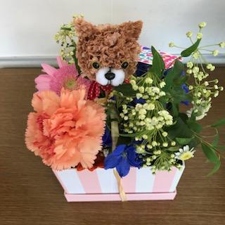 image1.jpeg