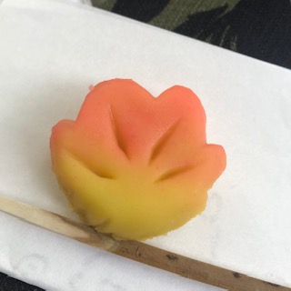 image1.jpeg