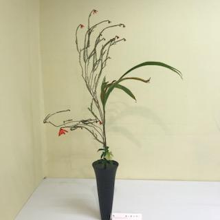 image.jpg