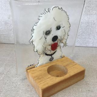 image.jpg