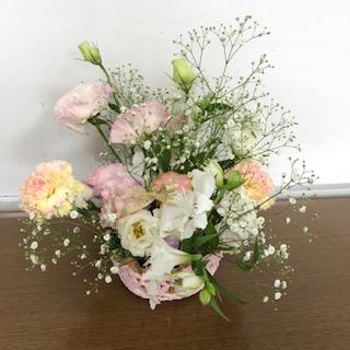 IMG_1524.jpg