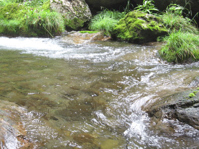 養沢毛鉤専用釣場
