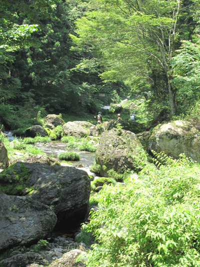 養沢毛鉤専用釣場