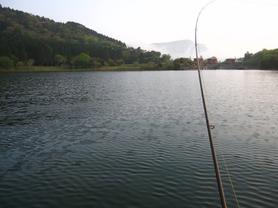 ashinoko