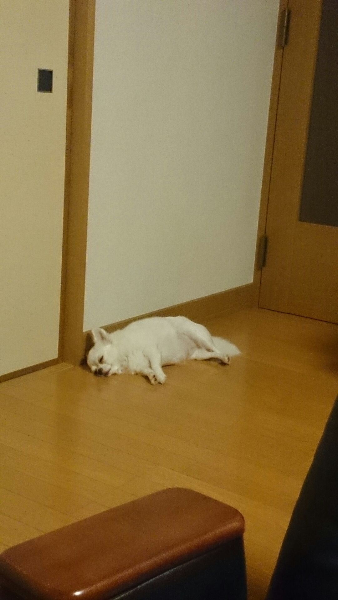 14年07月の記事 スタッフブログ