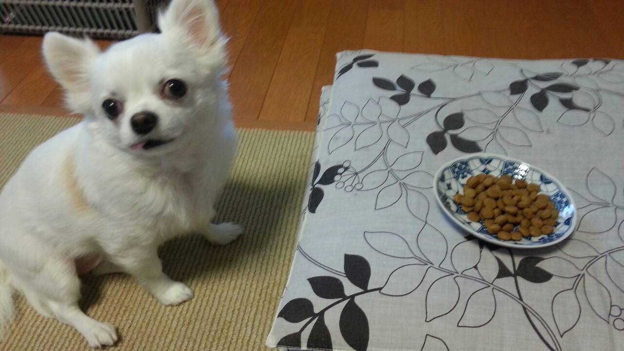 15年11月の記事 スタッフブログ