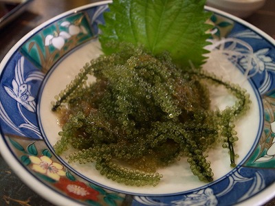 つばき 海ぶどう