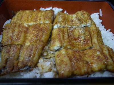 R1090261.jpg