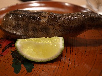 R1090861.jpg