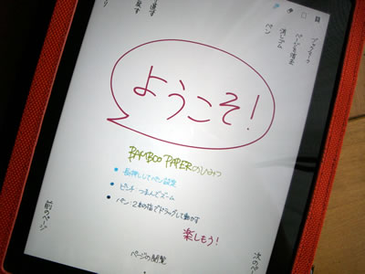 Bamboo paper for iPad