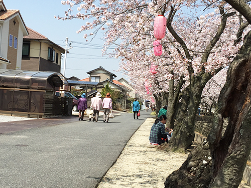 十四川桜03