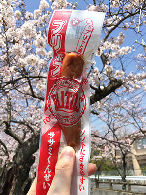 ソフトササミくんせい