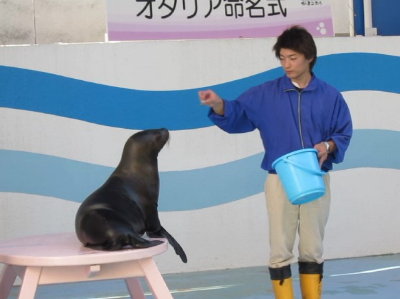 オタリア「ラブ」ちゃん