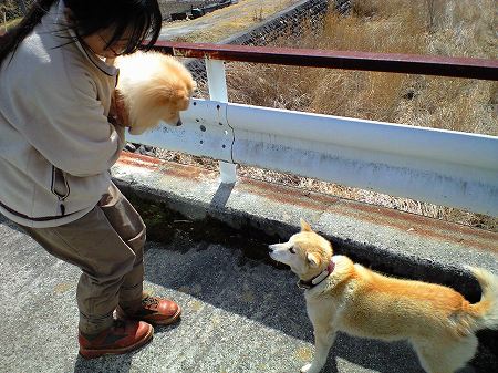 テツと幸太の再会
