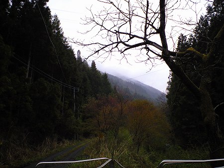 シャロムの雲行き