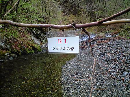 R1看板
