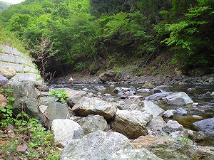 釣った瞬間