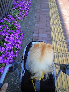 こんな所あったんだー