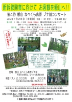 ブナ林表