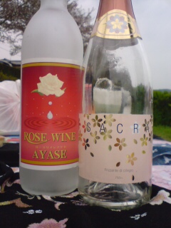20080413140822.jpg