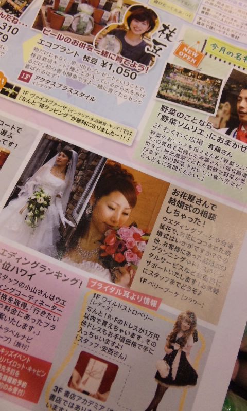 モラ新聞