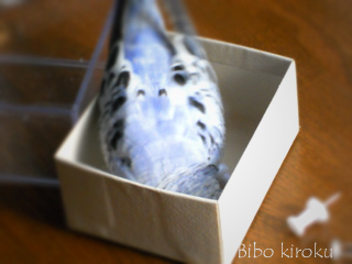 ぴーちゃん