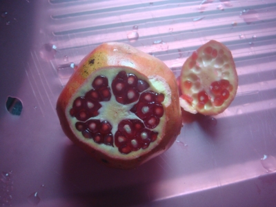 ¥¢¥Ê¥ë¤ÎÃÇÌÌ?