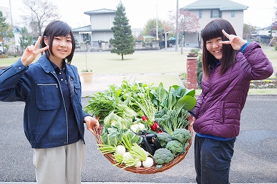 収穫野菜(テクノ・ホルティ園芸専門学校) 1.jpg