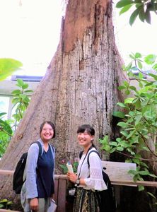 13 テクノホルティ園芸専門学校 夢の島 見学.JPG
