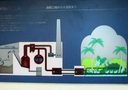 04 テクノホルティ園芸専門学校 夢の島 見学.jpg