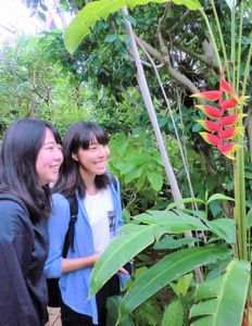 09 テクノホルティ園芸専門学校 夢の島 見学.JPG