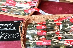 IMG_2674.jpg
