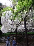 120503_1105~010001.jpg