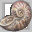 Btr. Nebimonite