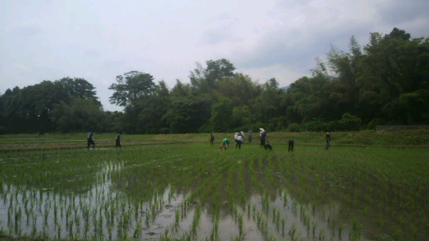 P1000257.jpg