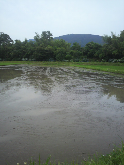 2012062409500000.jpg