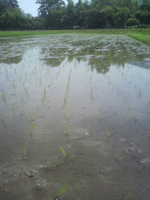 2012062412590001.jpg