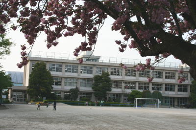 鎌ヶ谷市立南部小学校八重桜