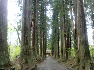 長野県戸隠神社画像
