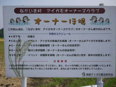 アイガモ(合鴨)農法、長生村画像