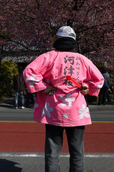 河津桜スタッフハッピ画像