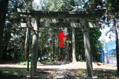 根津神社鳥居画像
