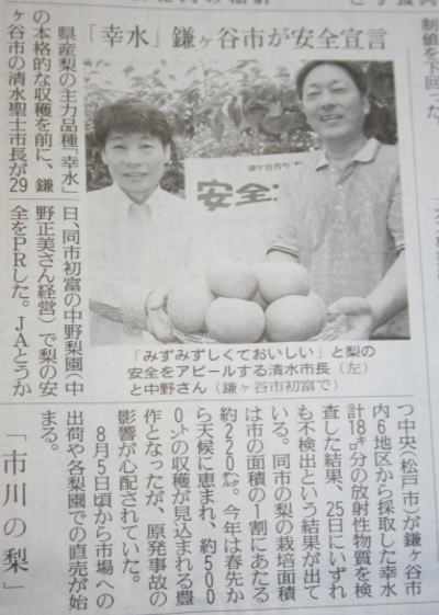 鎌ヶ谷市の梨、放射性物質不検出の読売新聞記事