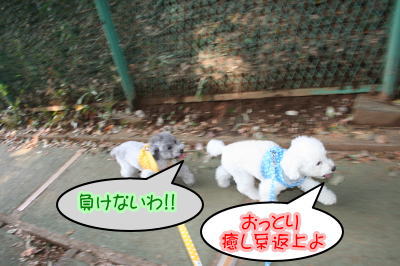 11101711.jpg