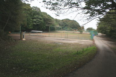 11101905.jpg