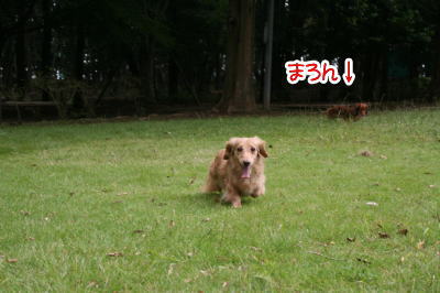 11101908.jpg