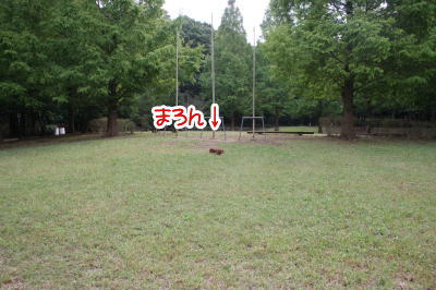 11101913.jpg